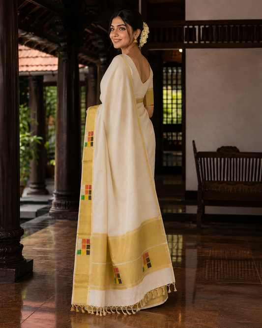 Pure Handloom Plain Multi-Color Box Saree with Running Blouse - SRHKL027